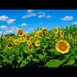 Meet your Posher, Angie